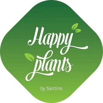 Happy Plants